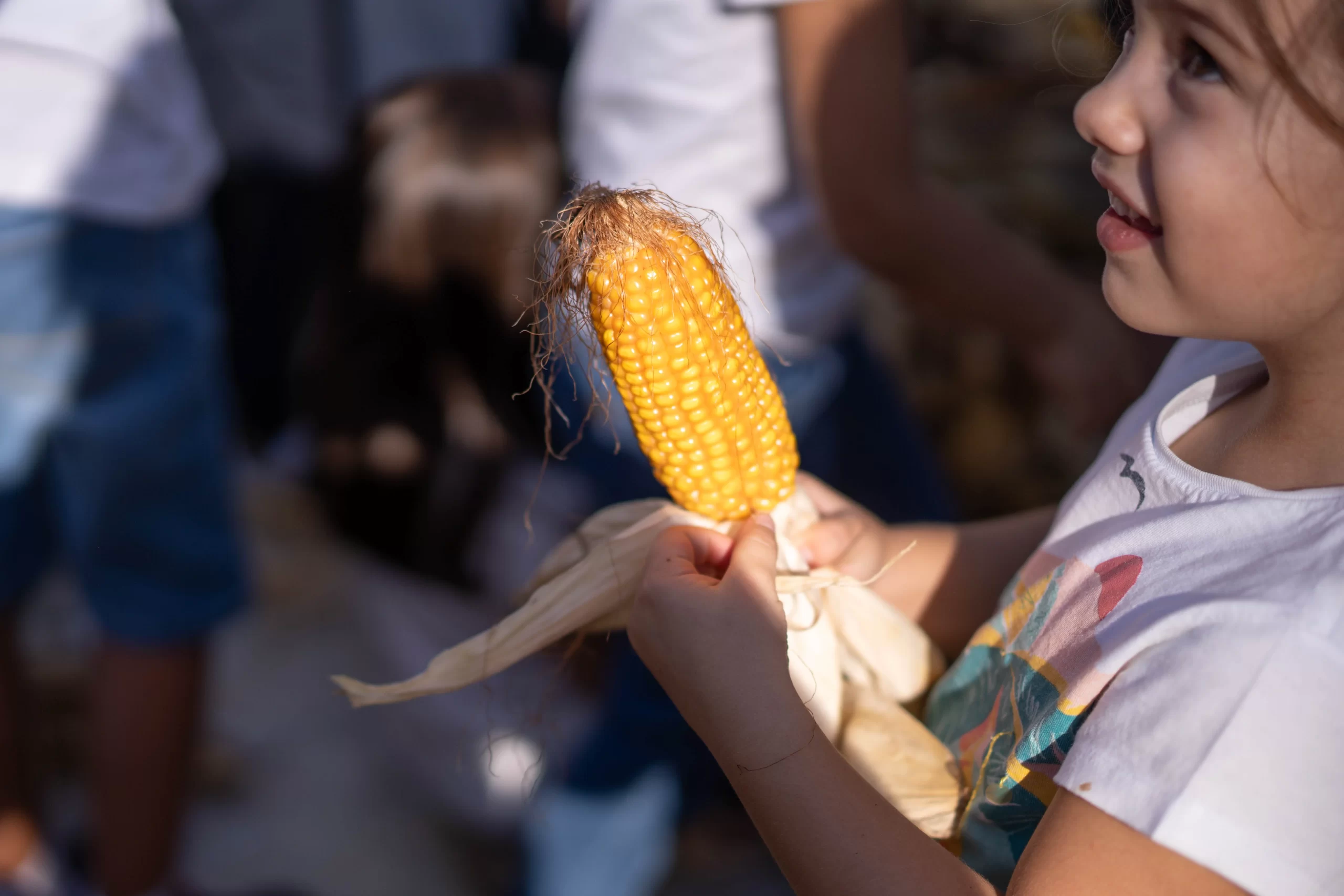 Desfolhada infantil