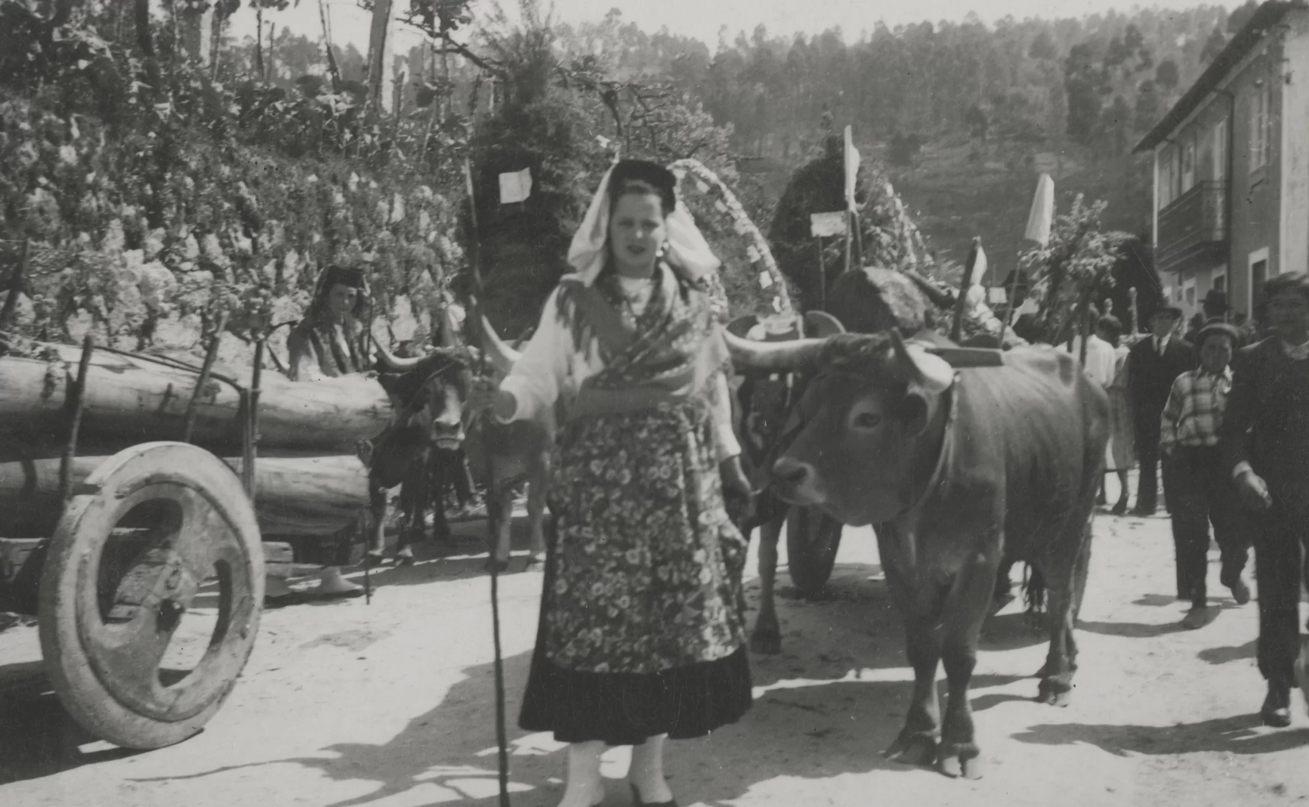 O antigamente das Feira das Colheitas em Arouca